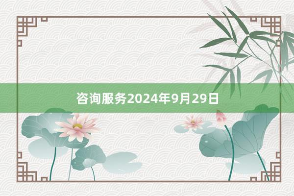 咨询服务2024年9月29日