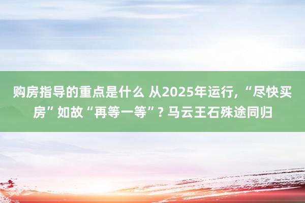 购房指导的重点是什么 从2025年运行, “尽快买房”如故“再等一等”? 马云王石殊途同归