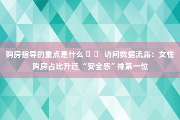 购房指导的重点是什么 		 访问数据流露：女性购房占比升迁 “安全感”排第一位