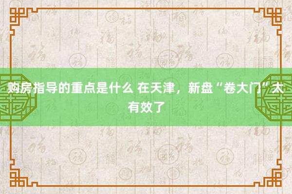 购房指导的重点是什么 在天津，新盘“卷大门”太有效了