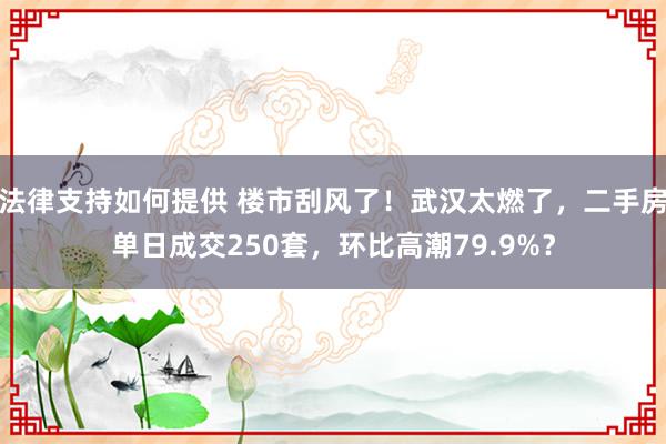 法律支持如何提供 楼市刮风了！武汉太燃了，二手房单日成交250套，环比高潮79.9%？