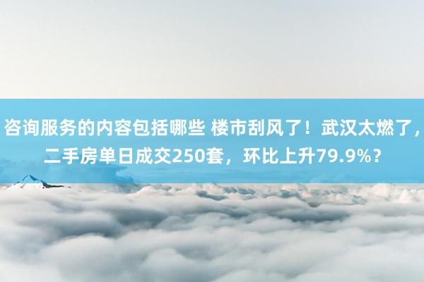 咨询服务的内容包括哪些 楼市刮风了！武汉太燃了，二手房单日成交250套，环比上升79.9%？