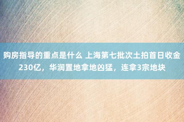 购房指导的重点是什么 上海第七批次土拍首日收金230亿，华润置地拿地凶猛，连拿3宗地块