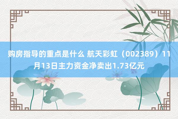 购房指导的重点是什么 航天彩虹（002389）11月13日主力资金净卖出1.73亿元