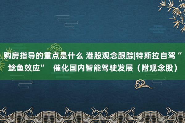 购房指导的重点是什么 港股观念跟踪|特斯拉自驾“鲶鱼效应”   催化国内智能驾驶发展（附观念股）