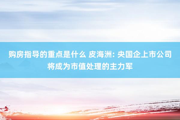 购房指导的重点是什么 皮海洲: 央国企上市公司将成为市值处理的主力军