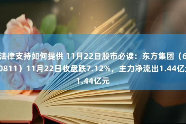 法律支持如何提供 11月22日股市必读：东方集团（600811）11月22日收盘跌7.12%，主力净流出1.44亿元