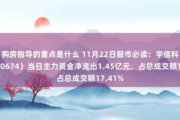 购房指导的重点是什么 11月22日股市必读：宇信科技（300674）当日主力资金净流出1.45亿元，占总成交额17.41%