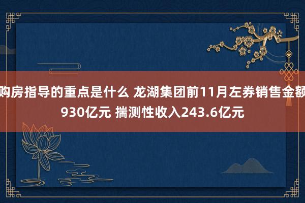 购房指导的重点是什么 龙湖集团前11月左券销售金额930亿元 揣测性收入243.6亿元