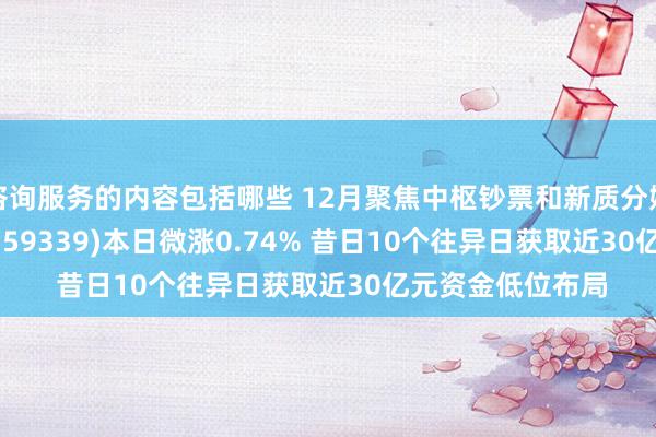 咨询服务的内容包括哪些 12月聚焦中枢钞票和新质分娩力！A500ETF(159339)本日微涨0.74% 昔日10个往异日获取近30亿元资金低位布局