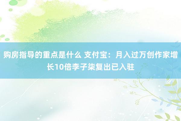 购房指导的重点是什么 支付宝：月入过万创作家增长10倍李子柒复出已入驻