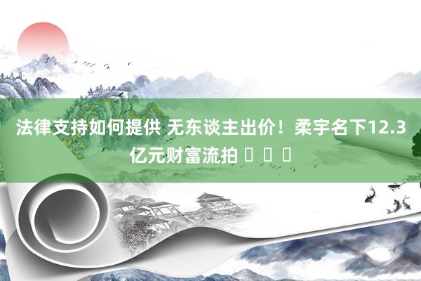 法律支持如何提供 无东谈主出价！柔宇名下12.3亿元财富流拍 ​​​