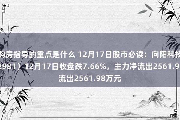 购房指导的重点是什么 12月17日股市必读：向阳科技（002981）12月17日收盘跌7.66%，主力净流出2561.98万元