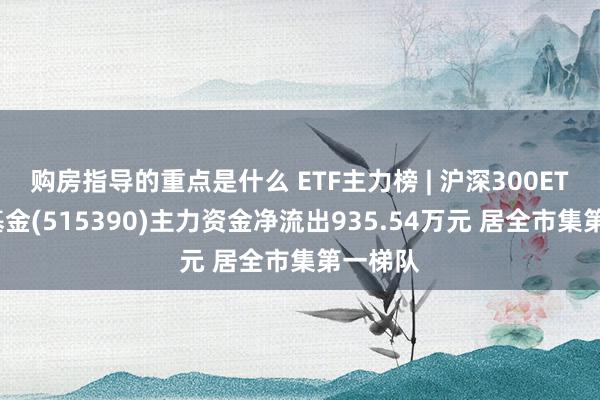 购房指导的重点是什么 ETF主力榜 | 沪深300ETF指数基金(515390)主力资金净流出935.54万元 居全市集第一梯队