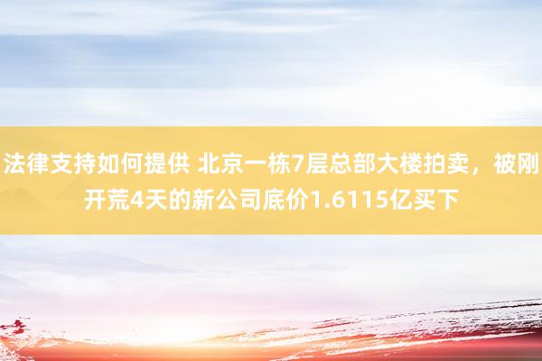 法律支持如何提供 北京一栋7层总部大楼拍卖，被刚开荒4天的新公司底价1.6115亿买下