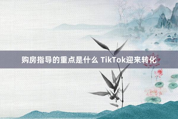 购房指导的重点是什么 TikTok迎来转化