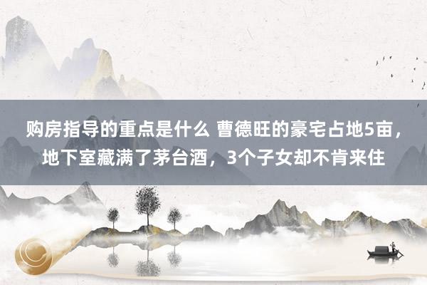 购房指导的重点是什么 曹德旺的豪宅占地5亩，地下室藏满了茅台酒，3个子女却不肯来住