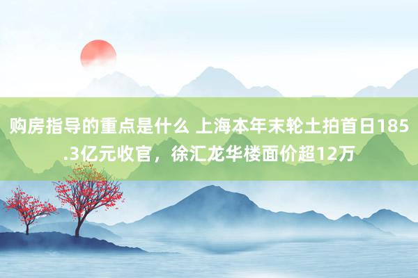 购房指导的重点是什么 上海本年末轮土拍首日185.3亿元收官，徐汇龙华楼面价超12万