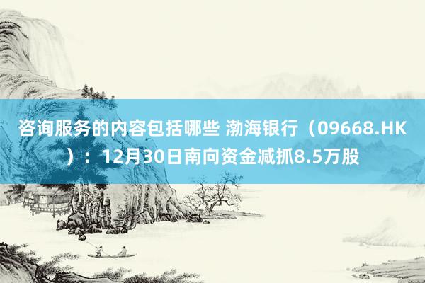 咨询服务的内容包括哪些 渤海银行（09668.HK）：12月30日南向资金减抓8.5万股