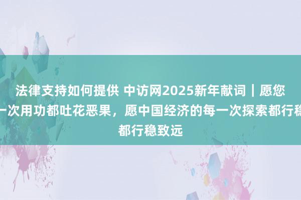 法律支持如何提供 中访网2025新年献词｜愿您的每一次用功都吐花恶果，愿中国经济的每一次探索都行稳致远