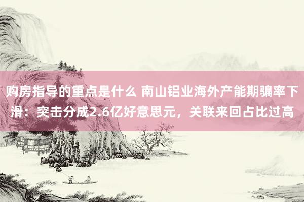 购房指导的重点是什么 南山铝业海外产能期骗率下滑：突击分成2.6亿好意思元，关联来回占比过高