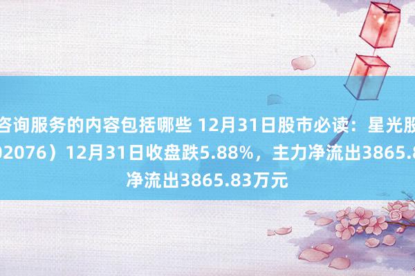 咨询服务的内容包括哪些 12月31日股市必读：星光股份（002076）12月31日收盘跌5.88%，主力净流出3865.83万元