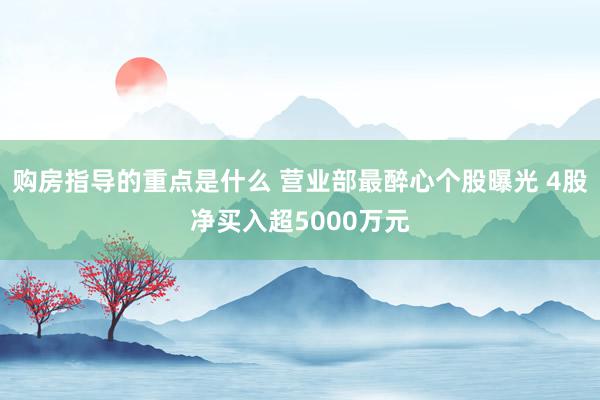 购房指导的重点是什么 营业部最醉心个股曝光 4股净买入超5000万元