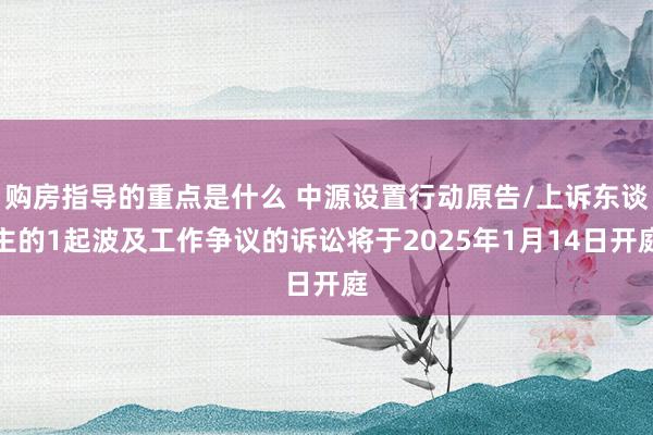 购房指导的重点是什么 中源设置行动原告/上诉东谈主的1起波及工作争议的诉讼将于2025年1月14日开庭