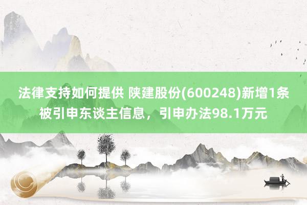 法律支持如何提供 陕建股份(600248)新增1条被引申东谈主信息，引申办法98.1万元