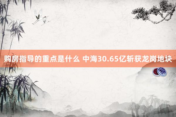 购房指导的重点是什么 中海30.65亿斩获龙岗地块