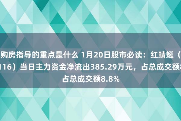 购房指导的重点是什么 1月20日股市必读：红蜻蜓（603116）当日主力资金净流出385.29万元，占总成交额8.8%