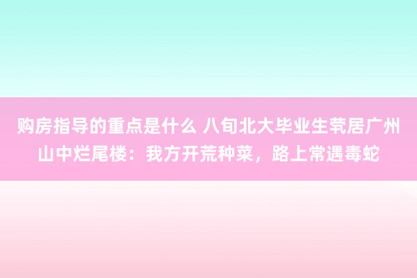 购房指导的重点是什么 八旬北大毕业生茕居广州山中烂尾楼：我方开荒种菜，路上常遇毒蛇