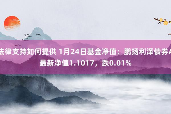 法律支持如何提供 1月24日基金净值：鹏扬利泽债券A最新净值1.1017，跌0.01%