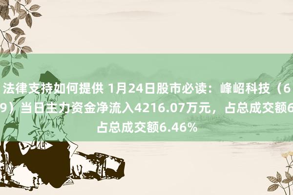 法律支持如何提供 1月24日股市必读：峰岹科技（688279）当日主力资金净流入4216.07万元，占总成交额6.46%