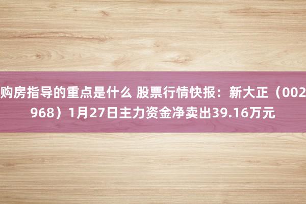 购房指导的重点是什么 股票行情快报：新大正（002968）1月27日主力资金净卖出39.16万元