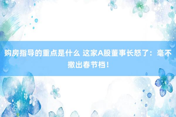 购房指导的重点是什么 这家A股董事长怒了：毫不撤出春节档！