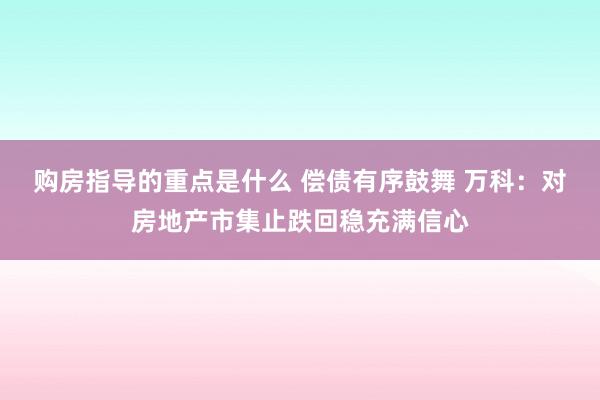 购房指导的重点是什么 偿债有序鼓舞 万科：对房地产市集止跌回稳充满信心