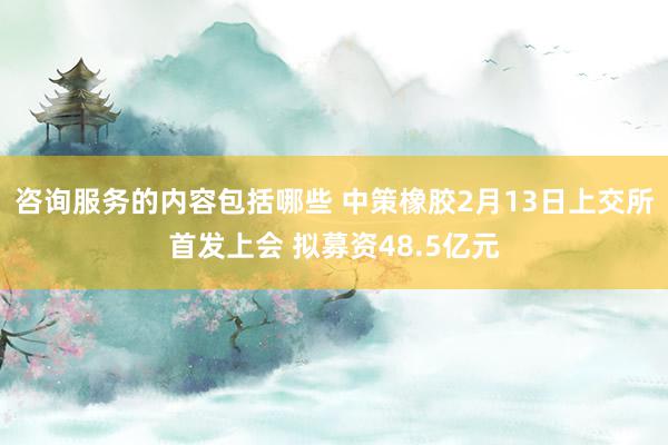 咨询服务的内容包括哪些 中策橡胶2月13日上交所首发上会 拟募资48.5亿元