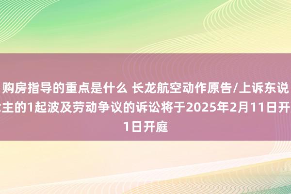 购房指导的重点是什么 长龙航空动作原告/上诉东说念主的1起波及劳动争议的诉讼将于2025年2月11日开庭