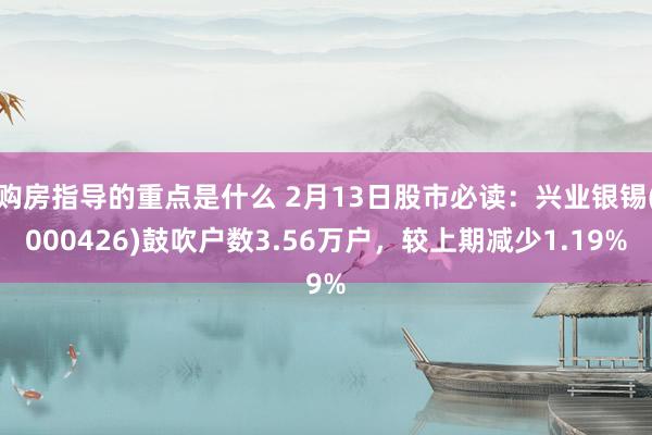 购房指导的重点是什么 2月13日股市必读：兴业银锡(000426)鼓吹户数3.56万户，较上期减少1.19%