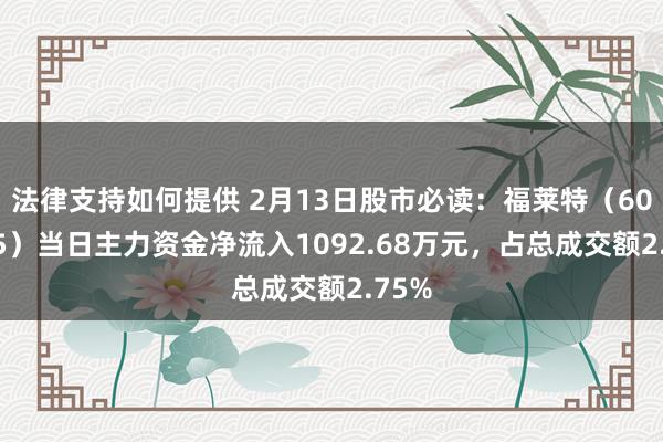 法律支持如何提供 2月13日股市必读：福莱特（601865）当日主力资金净流入1092.68万元，占总成交额2.75%