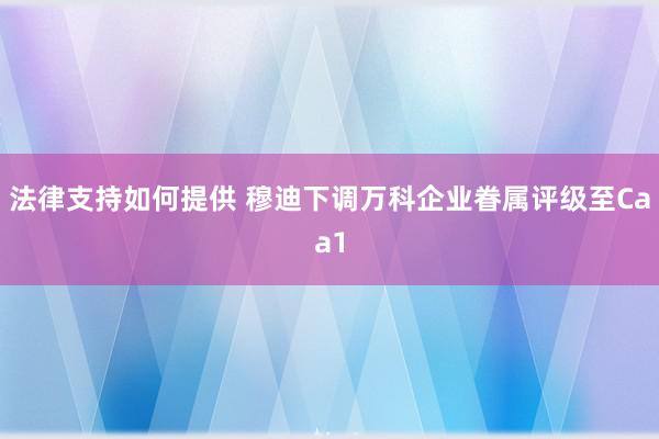 法律支持如何提供 穆迪下调万科企业眷属评级至Caa1