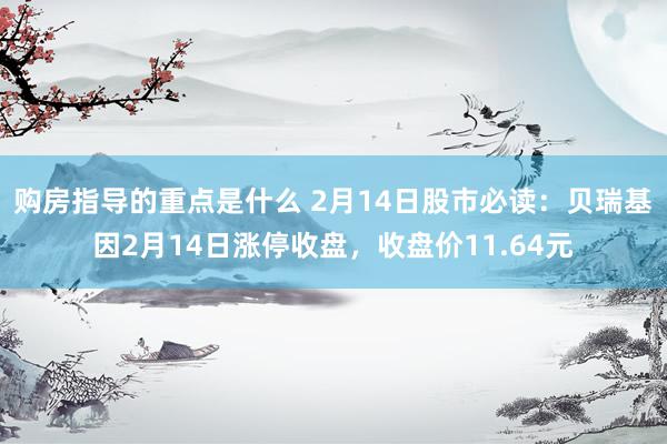 购房指导的重点是什么 2月14日股市必读：贝瑞基因2月14日涨停收盘，收盘价11.64元