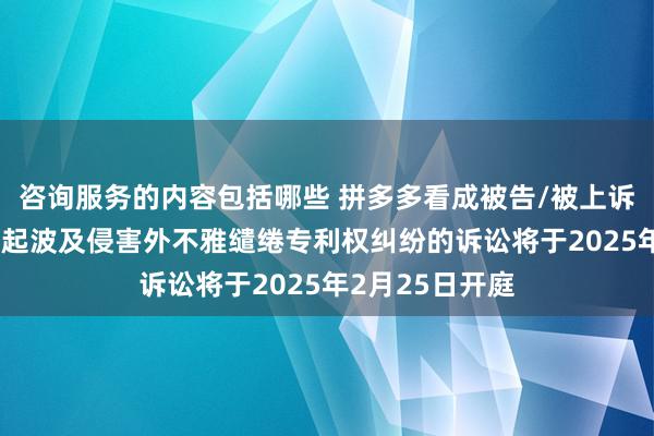 咨询服务的内容包括哪些 拼多多看成被告/被上诉东说念主的12起波及侵害外不雅缱绻专利权纠纷的诉讼将于2025年2月25日开庭