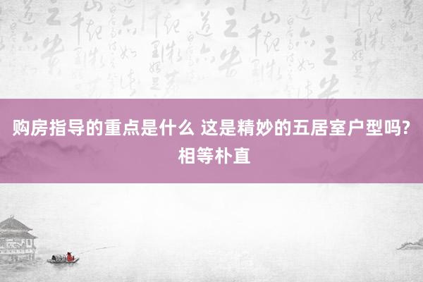 购房指导的重点是什么 这是精妙的五居室户型吗? 相等朴直