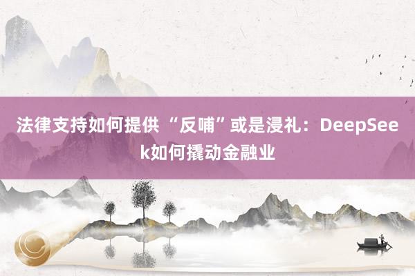 法律支持如何提供 “反哺”或是浸礼：DeepSeek如何撬动金融业