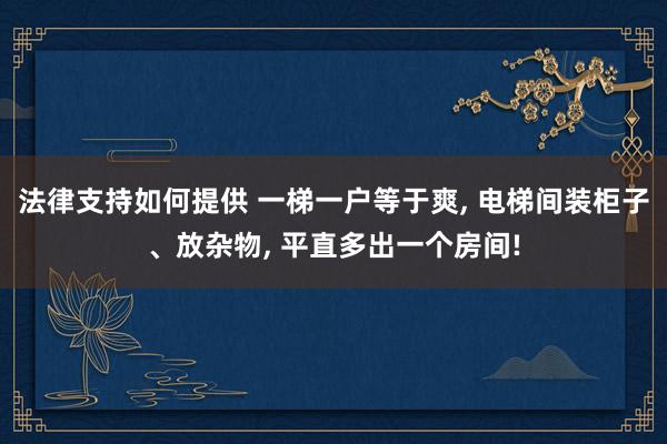 法律支持如何提供 一梯一户等于爽, 电梯间装柜子、放杂物, 平直多出一个房间!