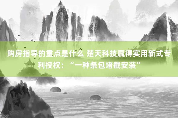 购房指导的重点是什么 楚天科技赢得实用新式专利授权：“一种条包堵截安装”