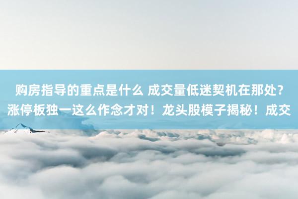 购房指导的重点是什么 成交量低迷契机在那处？涨停板独一这么作念才对！龙头股模子揭秘！成交