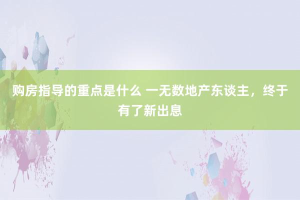 购房指导的重点是什么 一无数地产东谈主，终于有了新出息